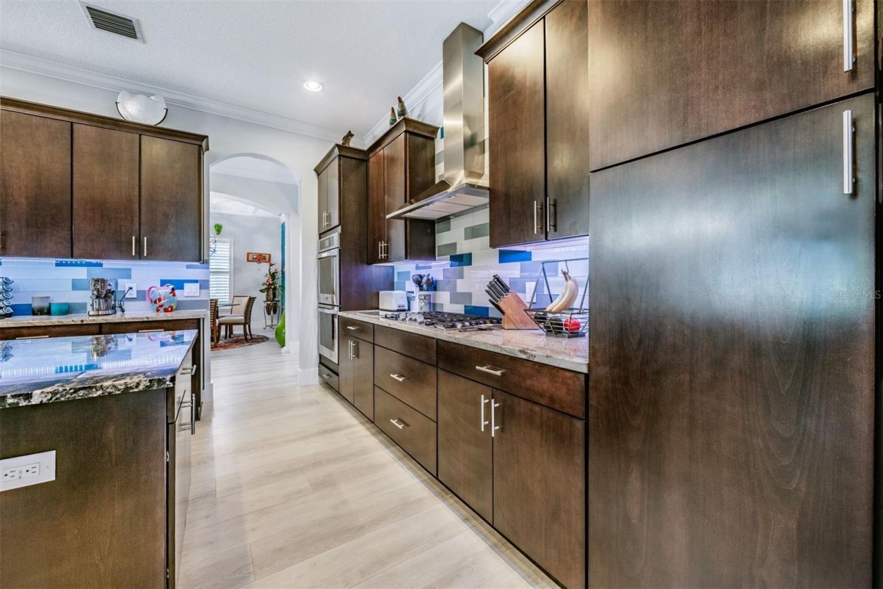 3332 Anna George Drive, Valrico, FL 33596 Photo