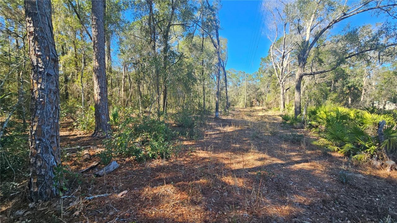 43734 West Lane, Paisley, FL 32767 Photo