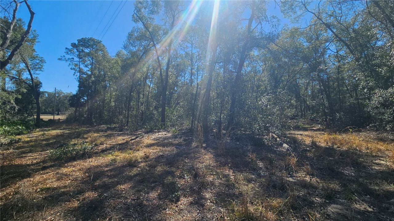 43734 West Lane, Paisley, FL 32767 Photo