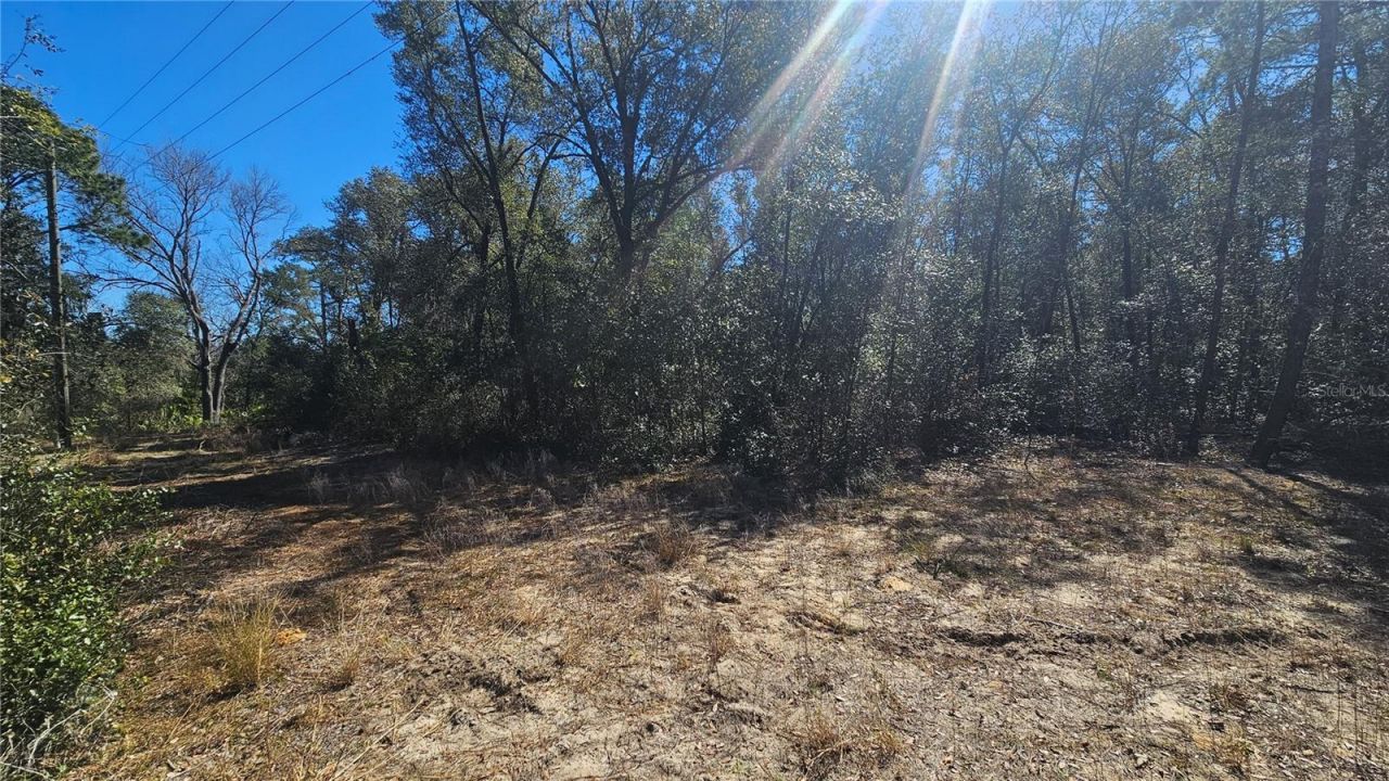 43734 West Lane, Paisley, FL 32767 Photo