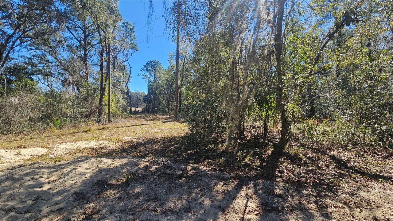 43734 West Lane, Paisley, FL 32767 Photo