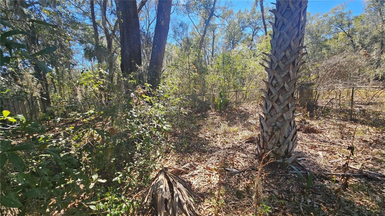 43734 West Lane, Paisley, FL 32767 Photo