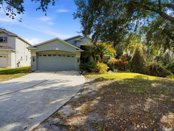 10426 LUCAYA DRIVE, TAMPA, FL 33647