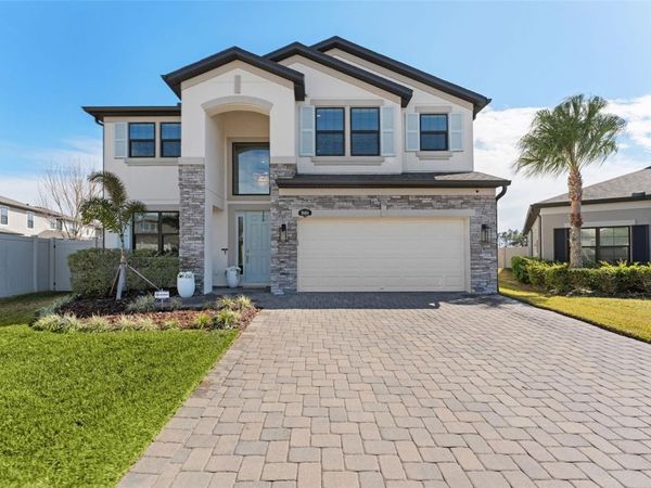 19484 BLOSSOM VINE LANE, LUTZ, FL 33558