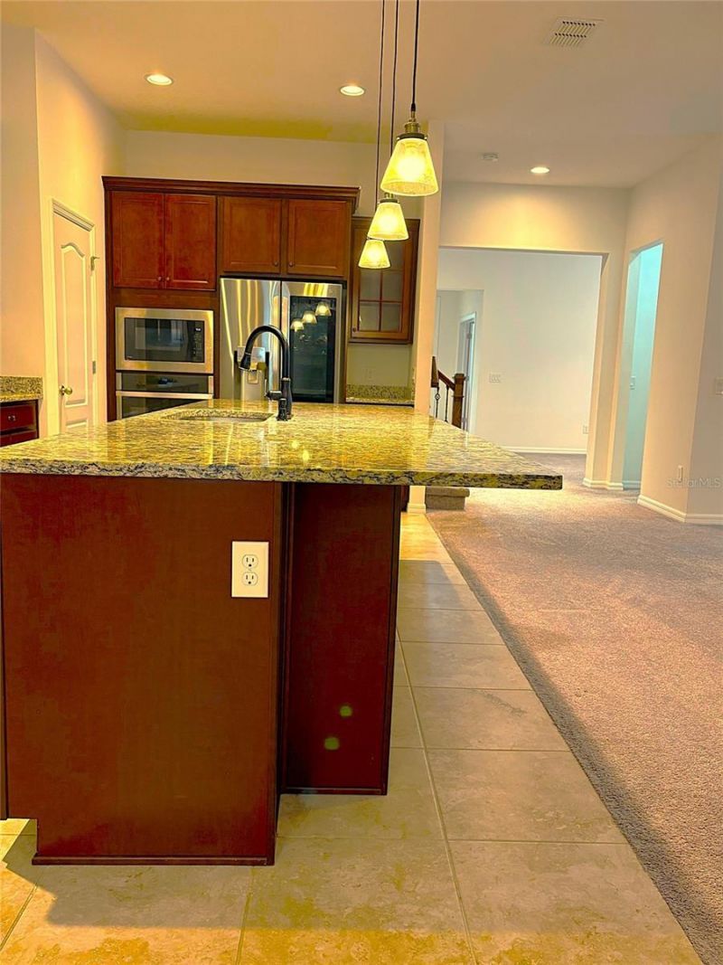 1872 Ibis Bay Court, Ocoee, FL 34761 Photo