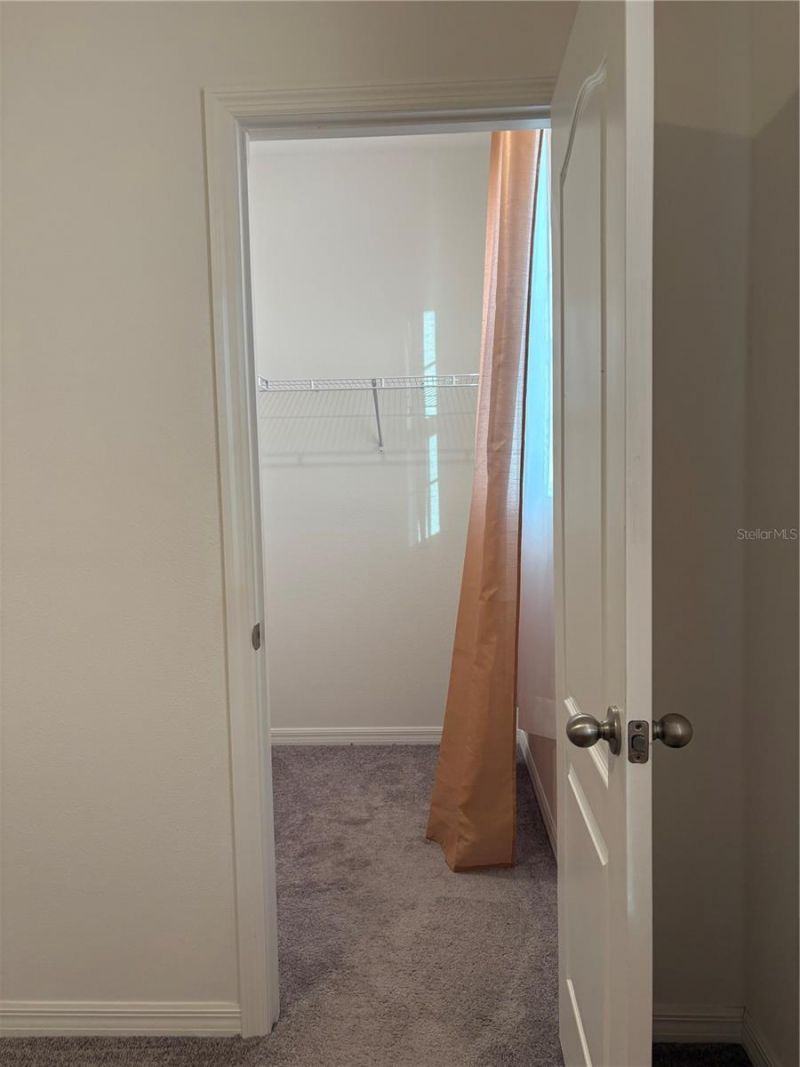 1872 Ibis Bay Court, Ocoee, FL 34761 Photo