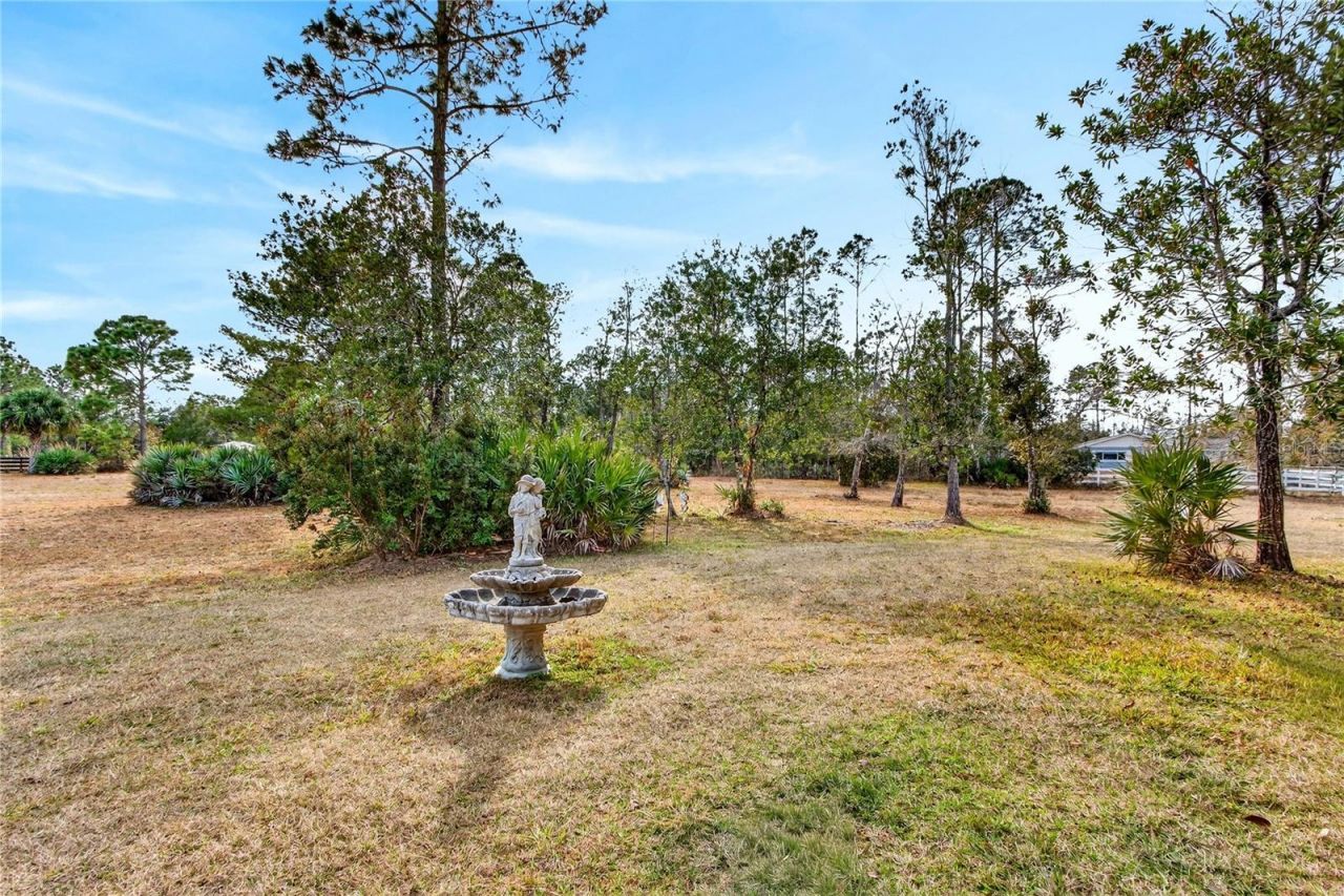 21506 Hobby Horse Lane, Christmas, FL 32709 Photo