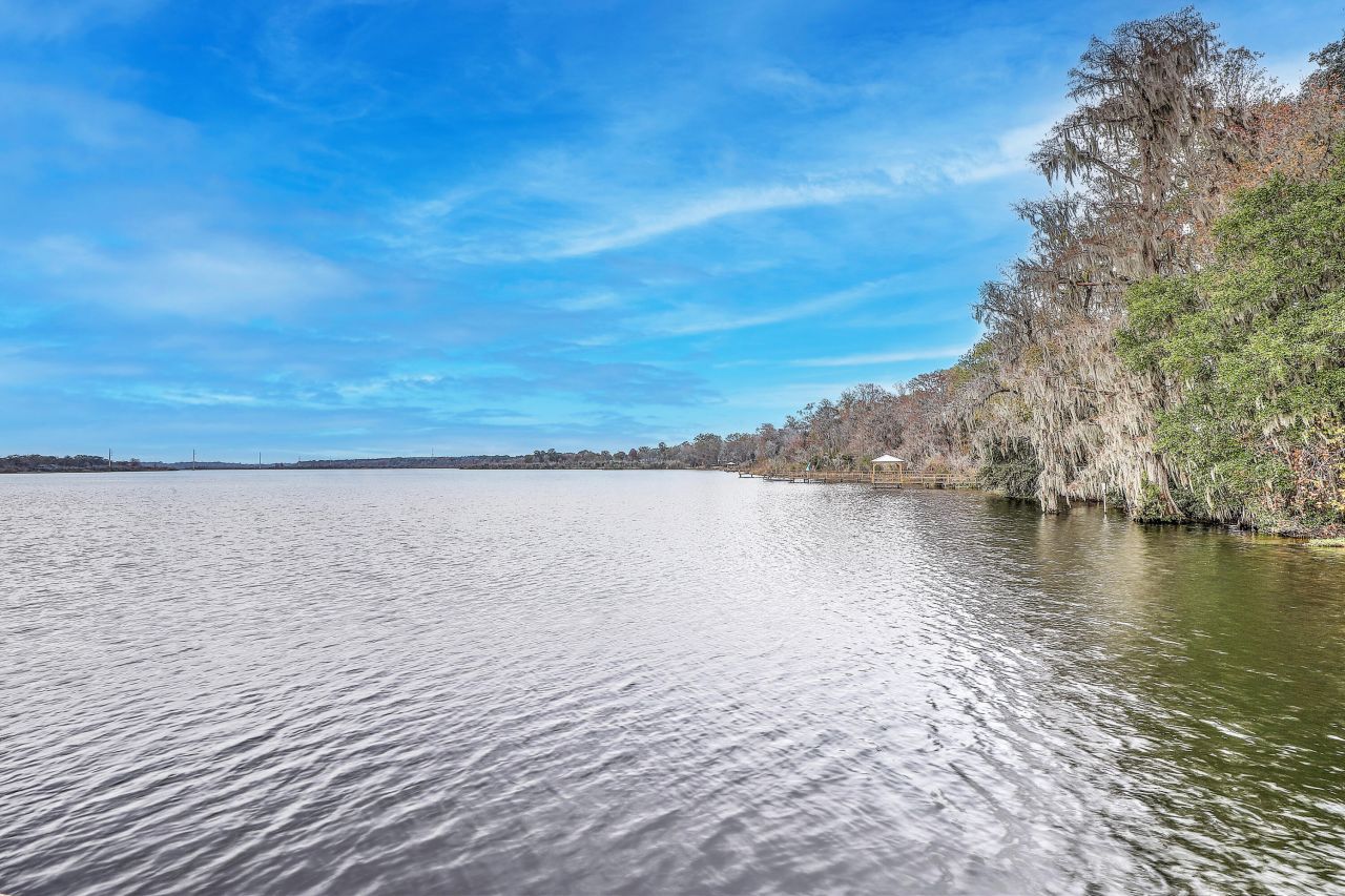 1045 Old Cypress Run Photo 39