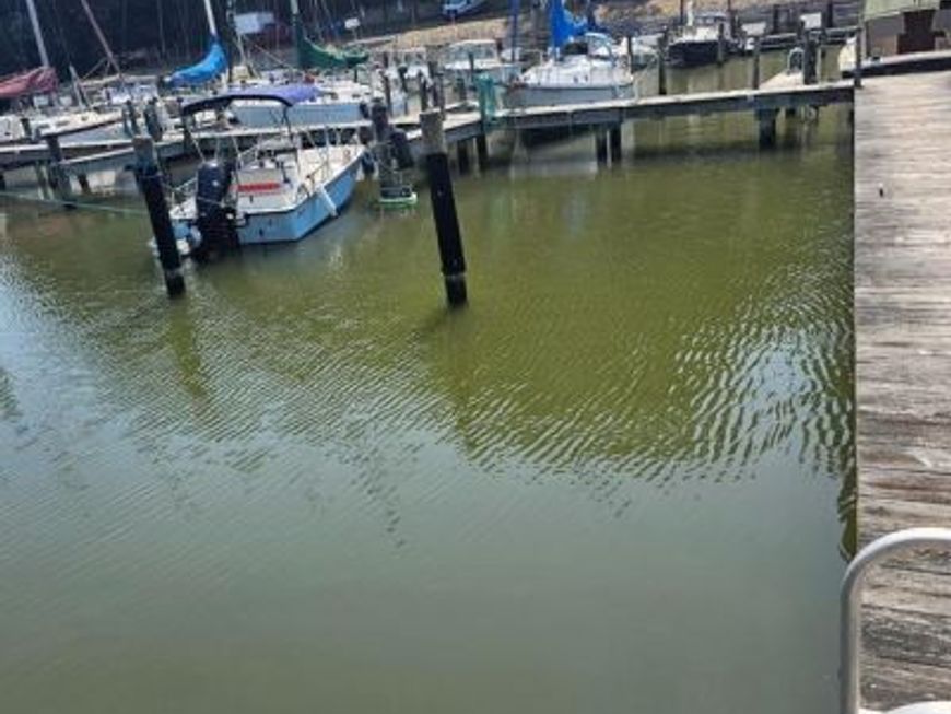 1766 N Harbor Drive, Lot #66, Saint Leonard, MD 20685 Main Photo