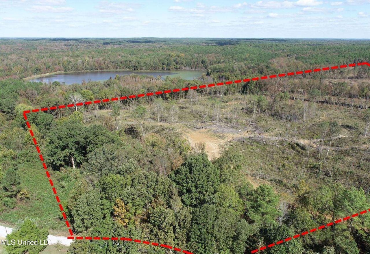 761 County Road 239 , Oakland, MS 38948 Main Photo