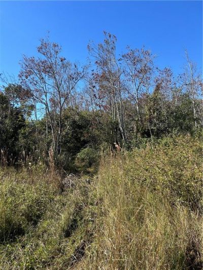 Please Call For Address, Naples, FL 34120 Photo