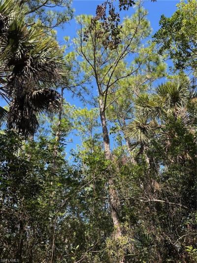 Please Call For Address, Naples, FL 34120 Photo