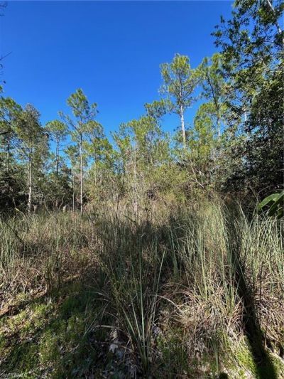 Please Call For Address, Naples, FL 34120 Photo