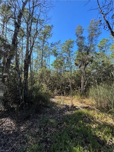 Please Call For Address, Naples, FL 34120 Photo