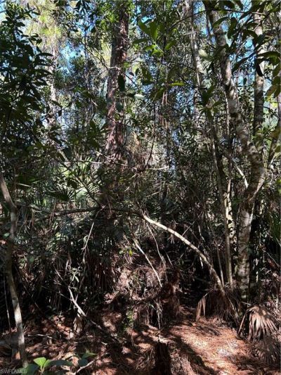 Please Call For Address, Naples, FL 34120 Photo
