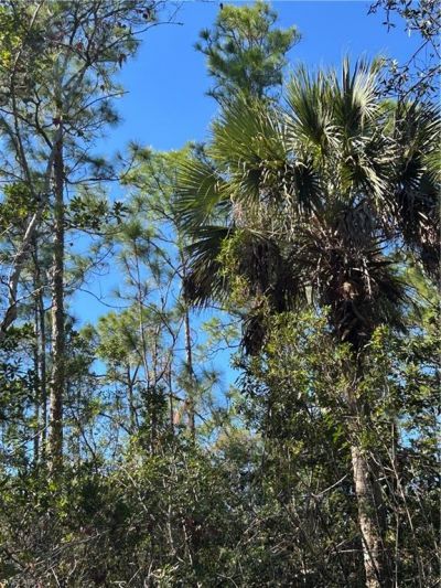 Please Call For Address, Naples, FL 34120 Photo