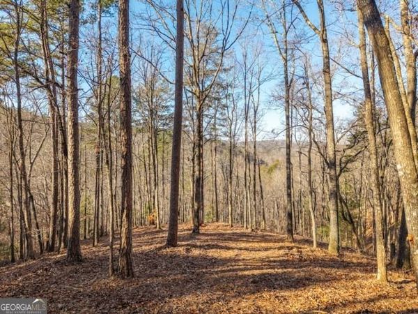 1665 Hunter Drive, Unit 42, Talking Rock, GA 30175