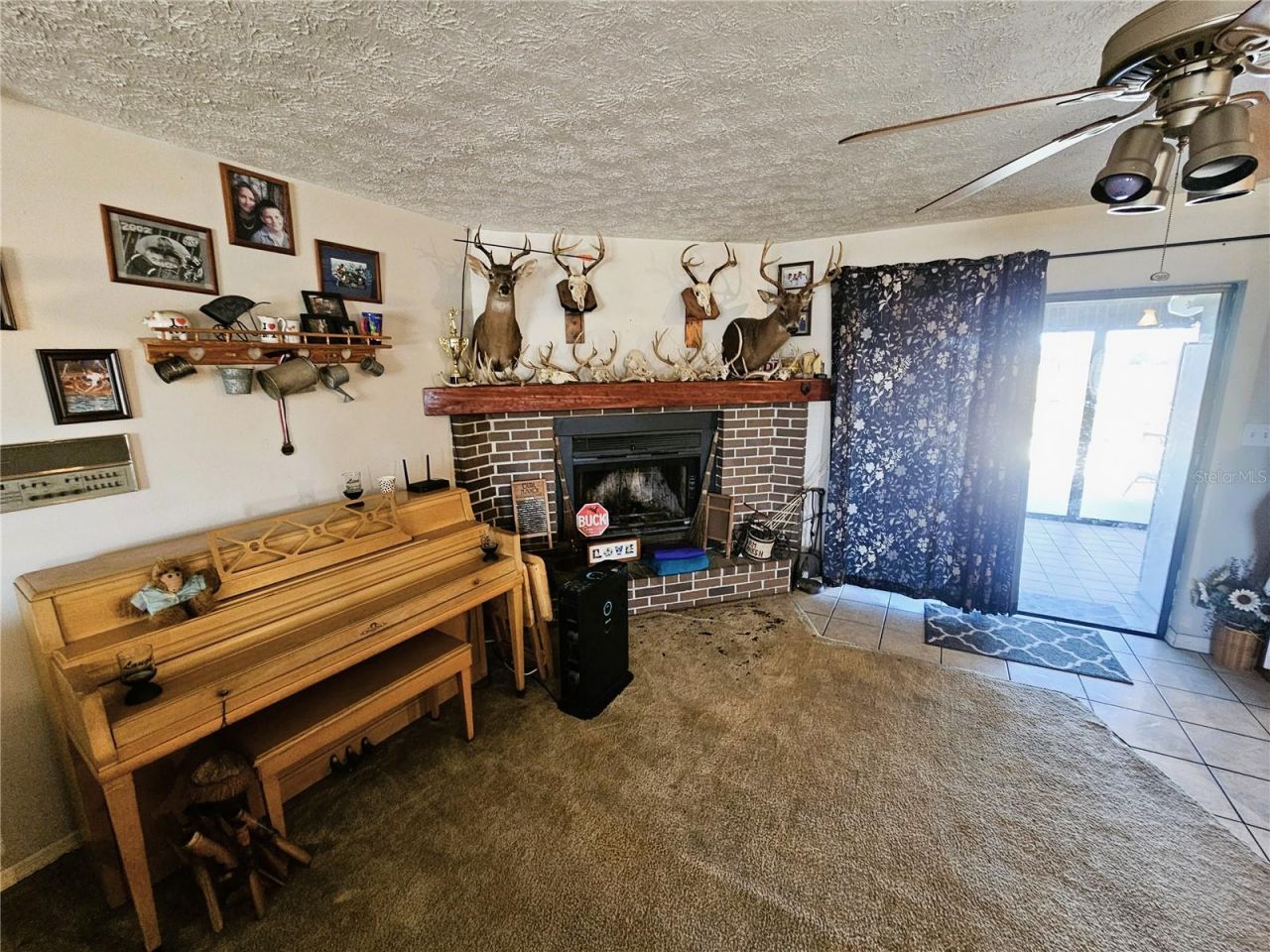 13308 Duck Lake Canal Road, Dade City, FL 33525 Photo