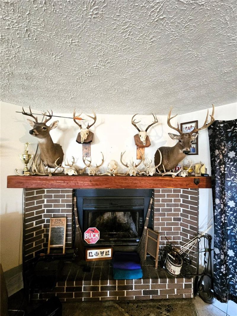 13308 Duck Lake Canal Road, Dade City, FL 33525 Photo