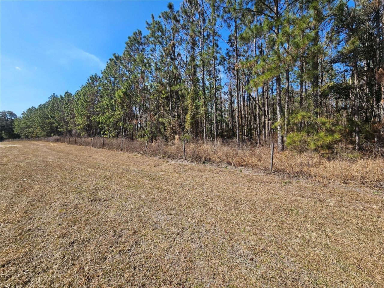 13308 Duck Lake Canal Road, Dade City, FL 33525 Photo