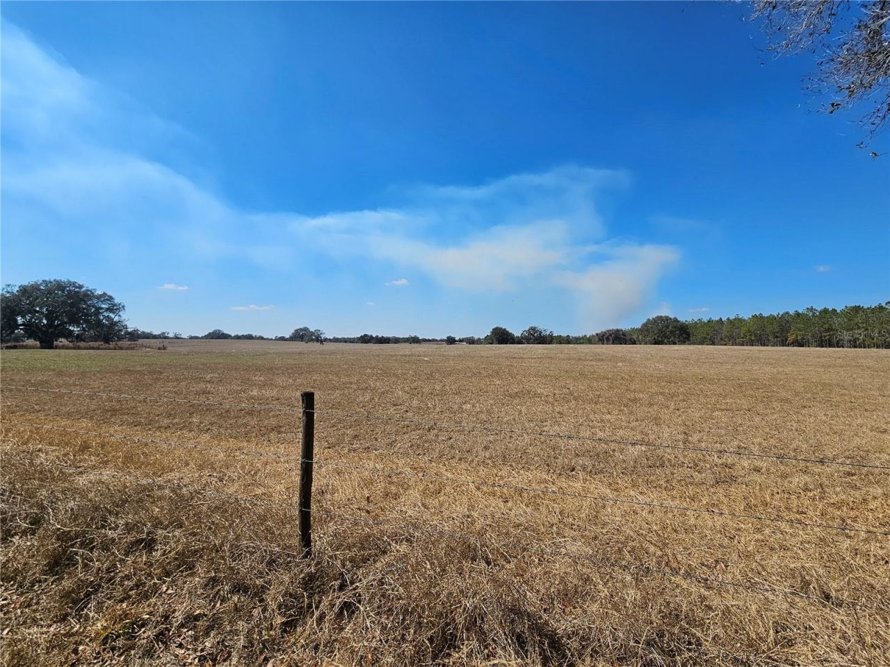 13308 Duck Lake Canal Road, Dade City, FL 33525 Photo