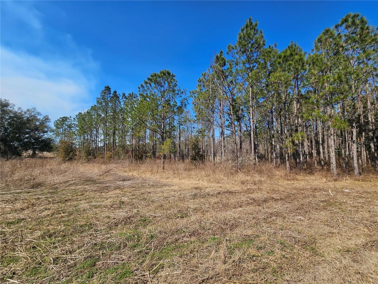 13308 Duck Lake Canal Road, Dade City, FL 33525 Photo