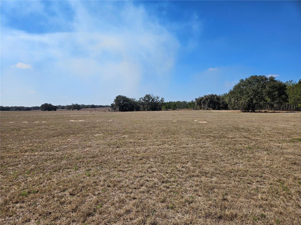 13308 Duck Lake Canal Road, Dade City, FL 33525 Photo