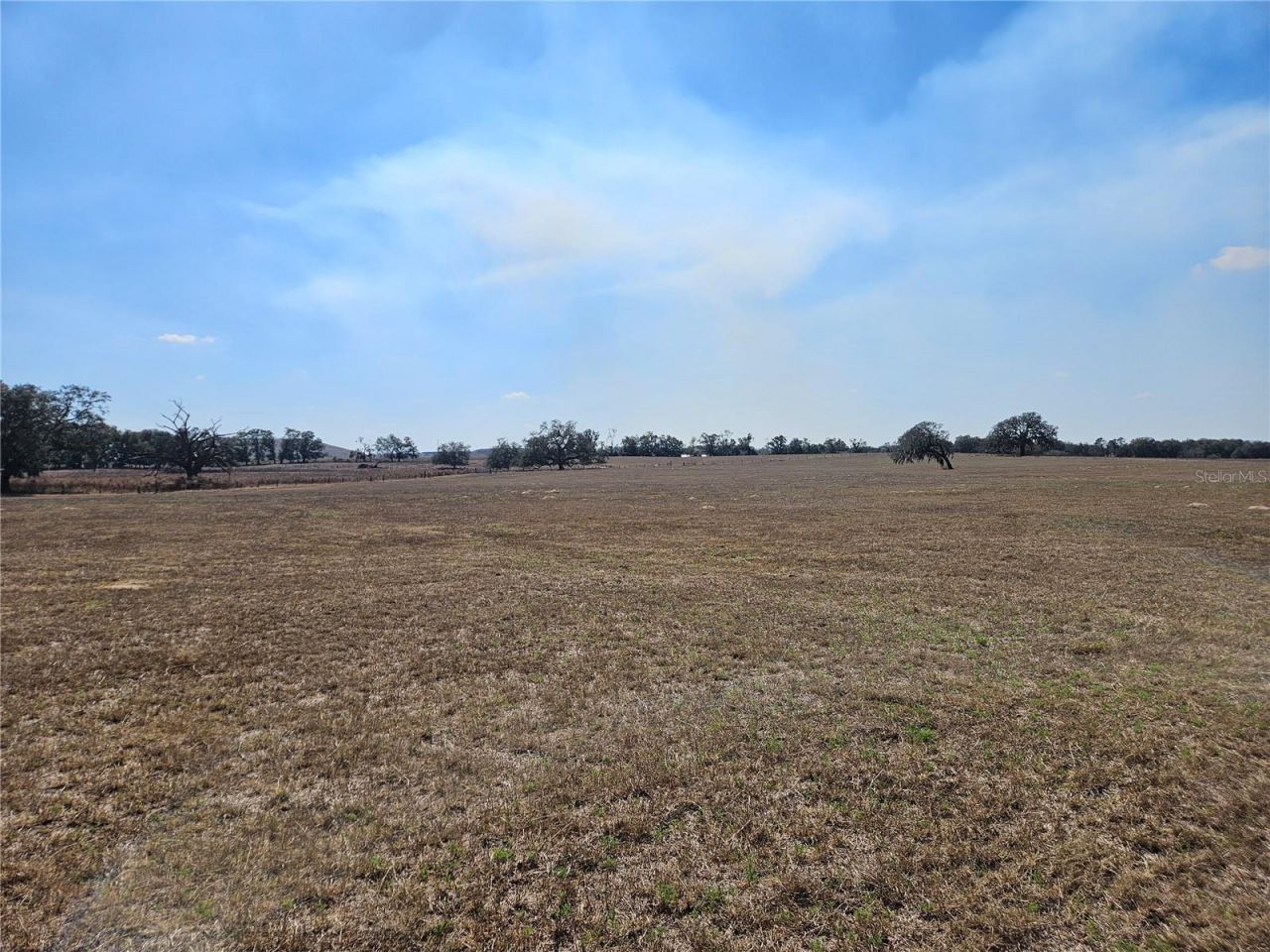 13308 Duck Lake Canal Road, Dade City, FL 33525 Photo