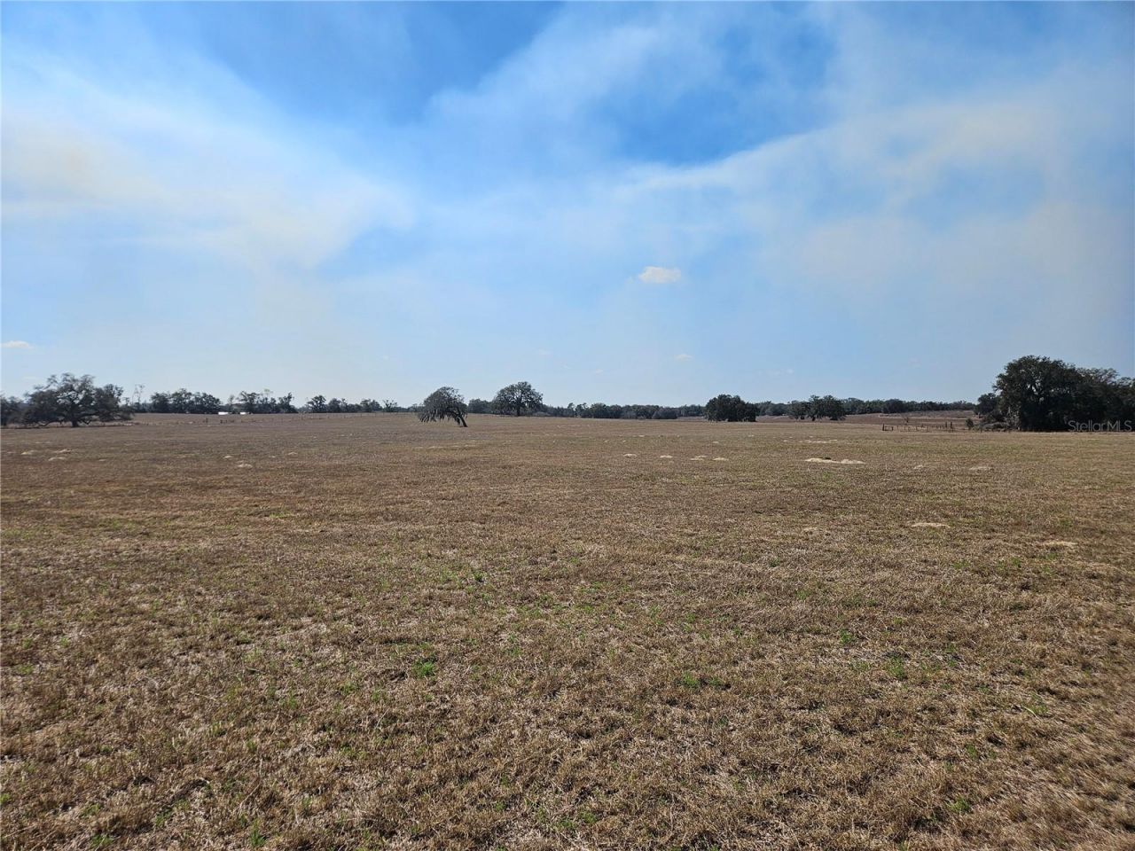 13308 Duck Lake Canal Road, Dade City, FL 33525 Photo