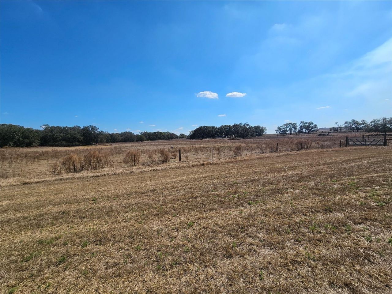 13308 Duck Lake Canal Road, Dade City, FL 33525 Photo