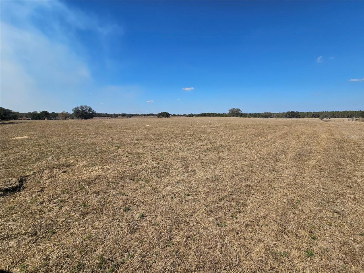 13308 Duck Lake Canal Road, Dade City, FL 33525 Photo