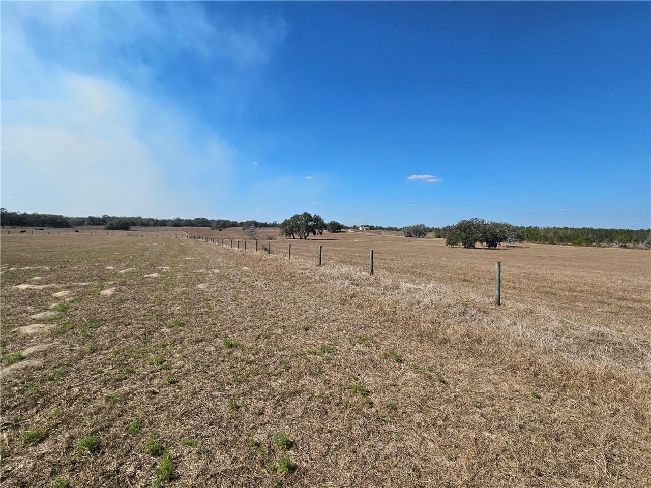 13308 Duck Lake Canal Road, Dade City, FL 33525 Photo