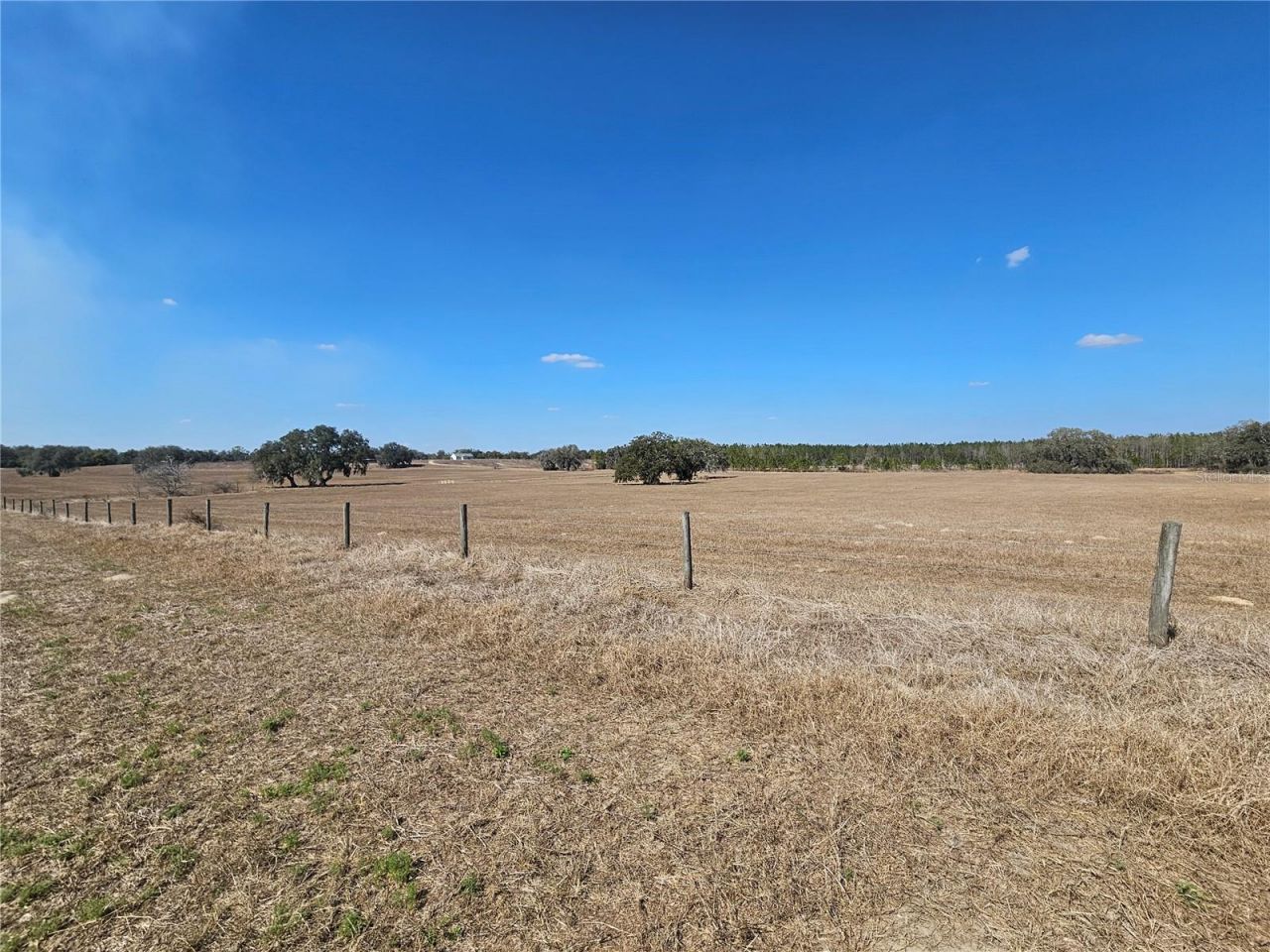 13308 Duck Lake Canal Road, Dade City, FL 33525 Photo