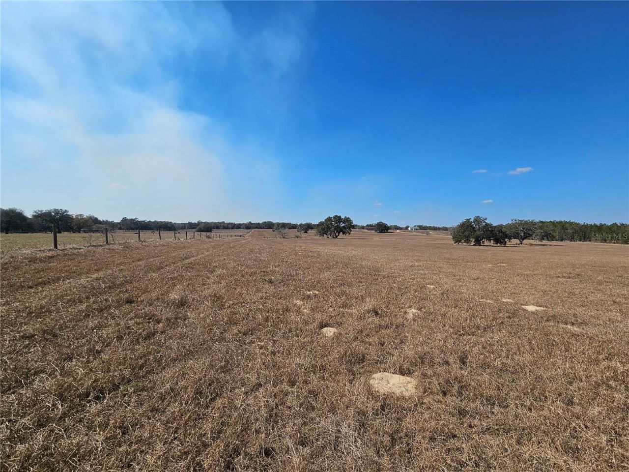 13308 Duck Lake Canal Road, Dade City, FL 33525 Photo