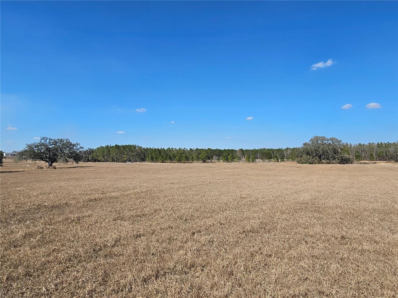 13308 Duck Lake Canal Road, Dade City, FL 33525 Photo