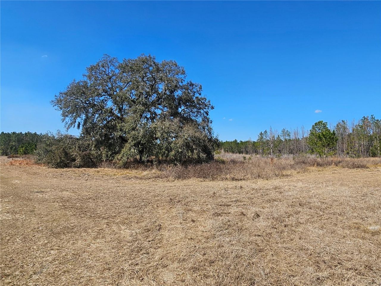 13308 Duck Lake Canal Road, Dade City, FL 33525 Photo