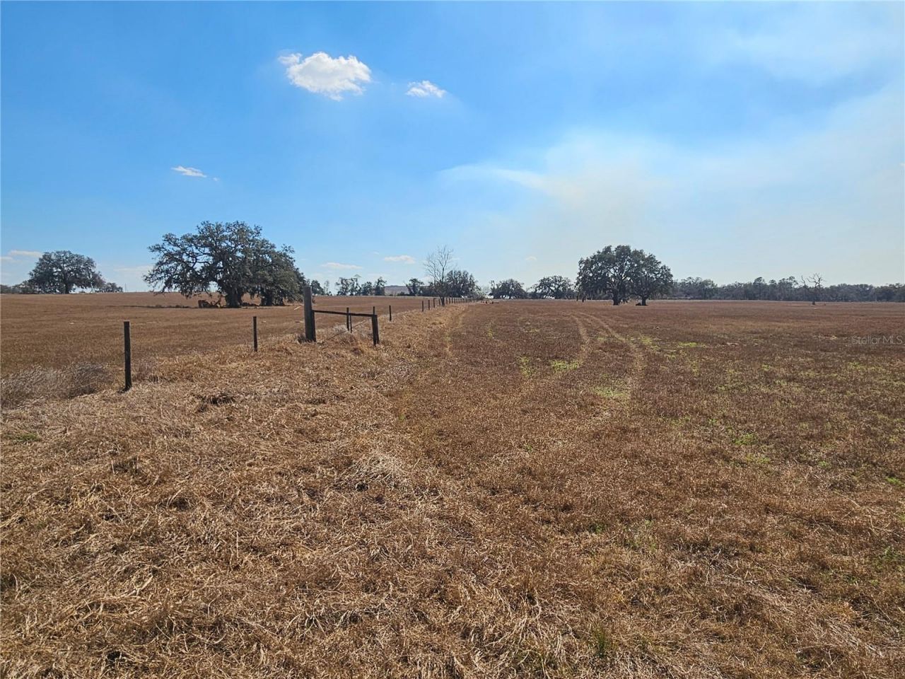 13308 Duck Lake Canal Road, Dade City, FL 33525 Photo