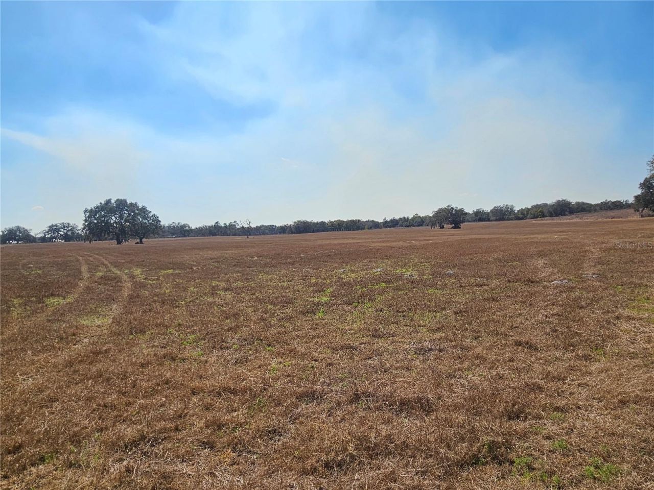 13308 Duck Lake Canal Road, Dade City, FL 33525 Photo