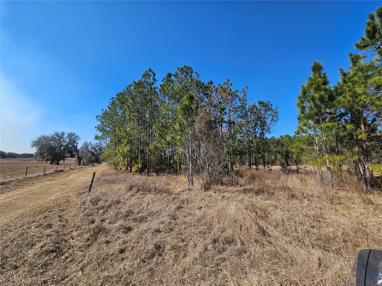 13308 Duck Lake Canal Road, Dade City, FL 33525 Photo