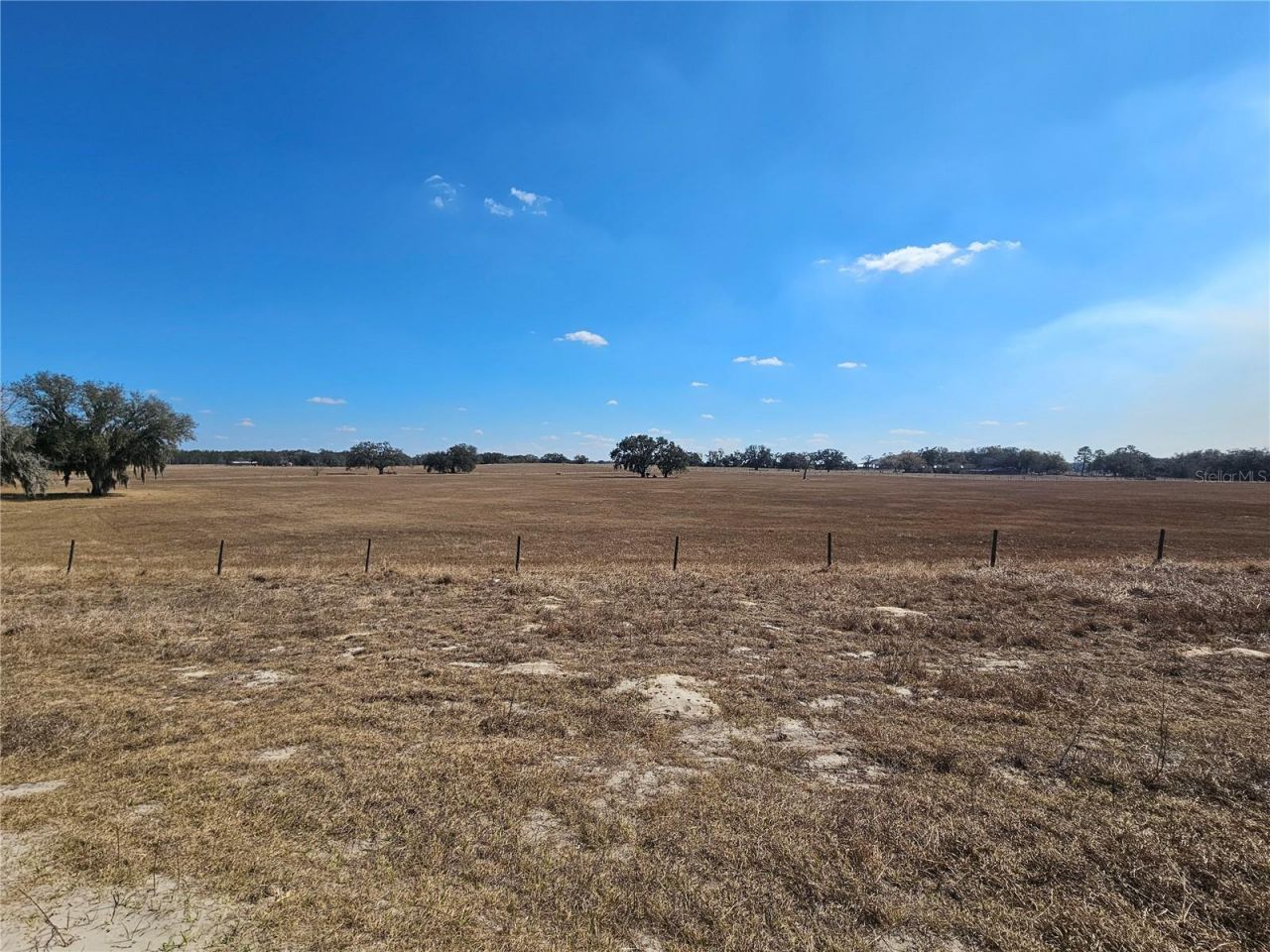 13308 Duck Lake Canal Road, Dade City, FL 33525 Photo