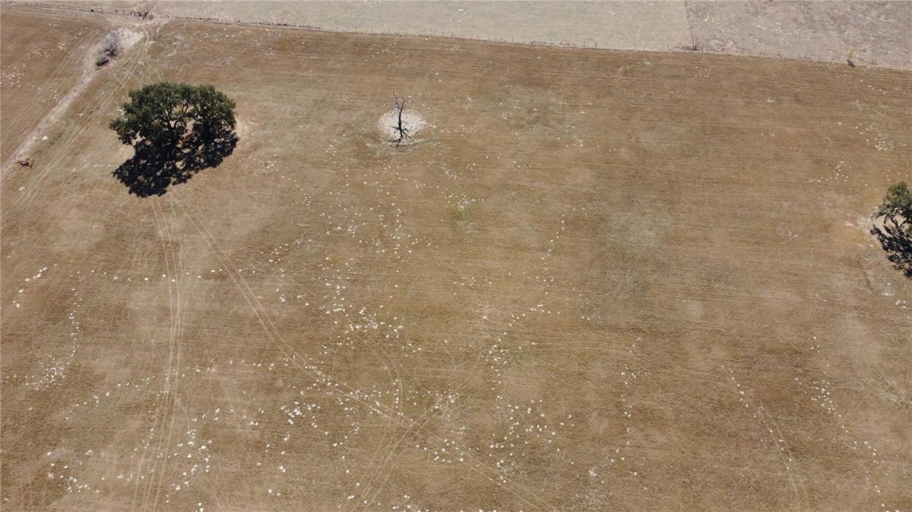 13308 Duck Lake Canal Road, Dade City, FL 33525 Photo