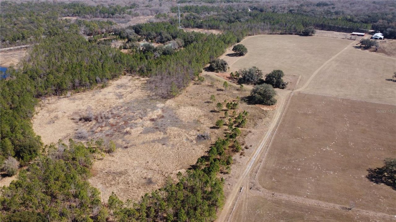 13308 Duck Lake Canal Road, Dade City, FL 33525 Photo