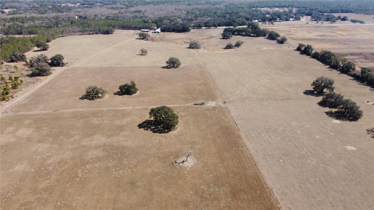 13308 Duck Lake Canal Road, Dade City, FL 33525 Photo