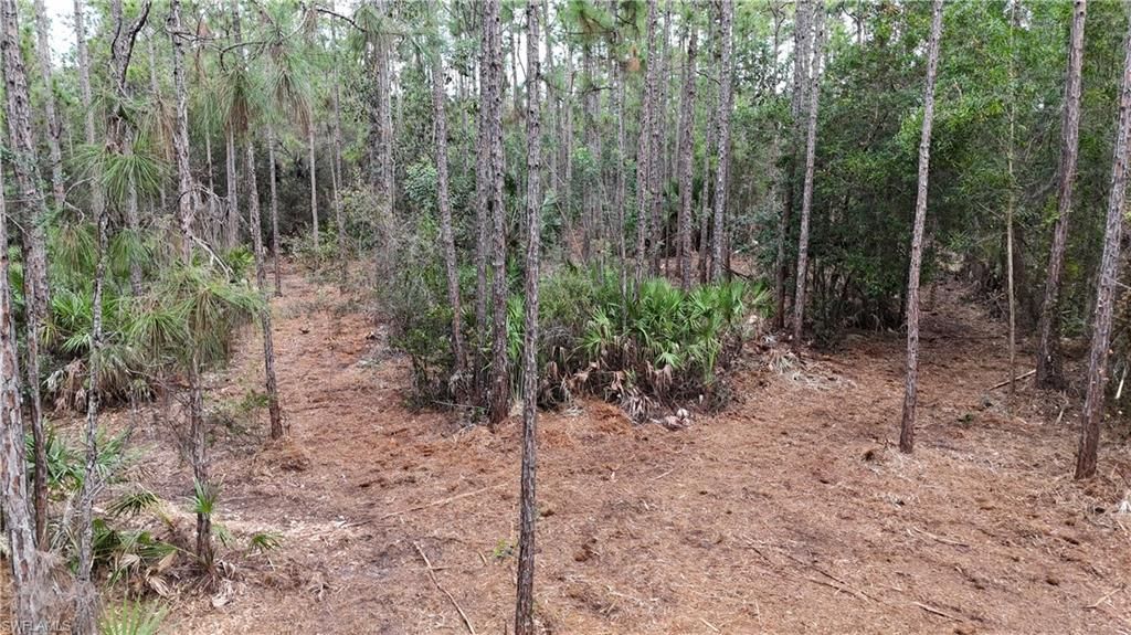 Please Call For Address, Naples, FL 34120 Photo