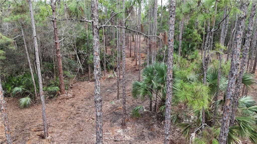 Please Call For Address, Naples, FL 34120 Photo