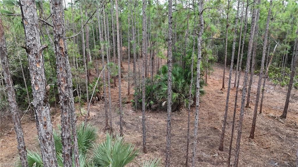 Please Call For Address, Naples, FL 34120 Photo
