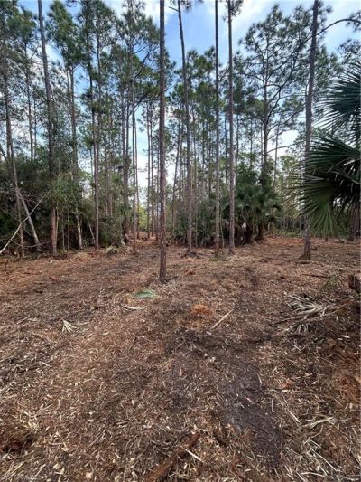 Please Call For Address, Naples, FL 34120 Photo