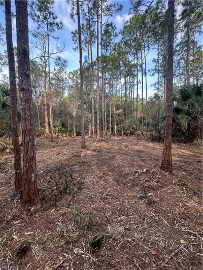Please Call For Address, Naples, FL 34120 Photo