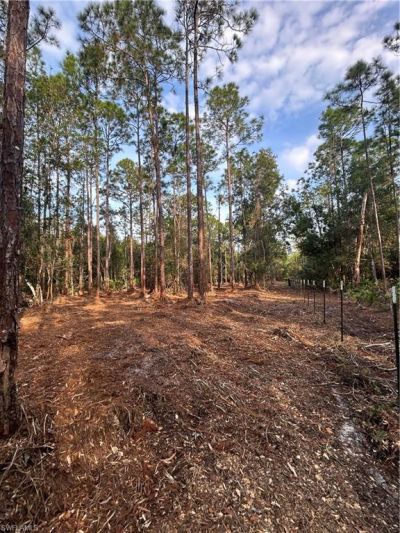 Please Call For Address, Naples, FL 34120 Photo