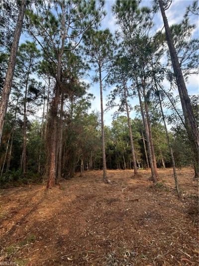 Please Call For Address, Naples, FL 34120 Photo